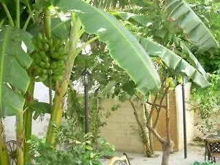 Bed And Breakfast La Giara Τραπάνι 3*,  Ιταλία